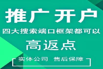 案例分析：竞价推广实战中的困境与突破